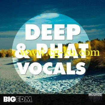 Big EDM Deep and Phat Vocals WAV MIDI FXB-SYNTHiC4TE的图片1