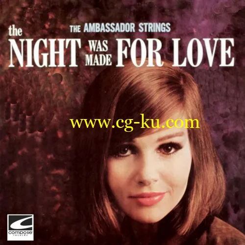 The Ambassador Strings – The Night Was Made For Love (2019) FLAC的图片1