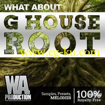 W.A.Production G House Root WAV MIDI FXP FLP-SYNTHiC4TE的图片1