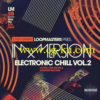 Loopmasters Immersion Electronic Chill 2 WAV REX的图片1