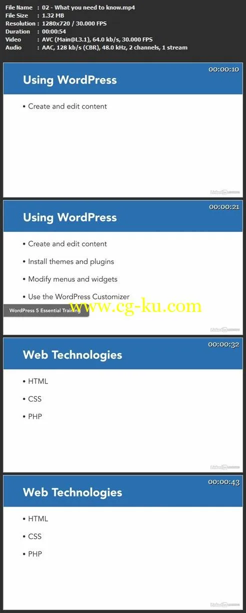 WordPress: Building Child Themes (2019)的图片1