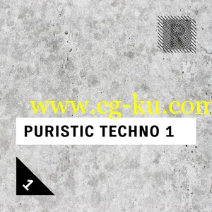 Riemann Kollektion Riemann Puristic Techno 1 WAV的图片1