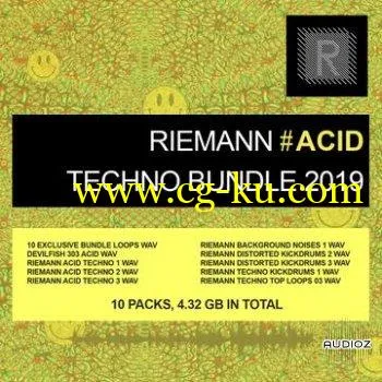 Riemann Kollektion Riemann Acid Techno Bundle 2019 WAV的图片1