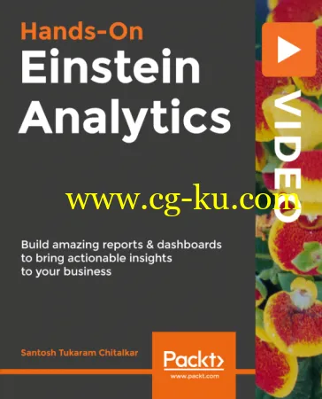 Hands-On Einstein Analytics的图片1