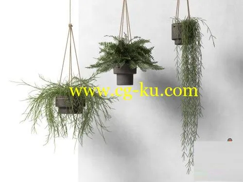 CGTrader – Hanging Pots with Plants 3D model的图片1