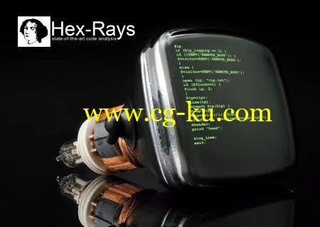 Hex-Rays IDA Pro 7.2.181105 x64的图片1