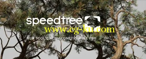 SpeedTree Modeler 8.4.1 Cinema Edition x64的图片1