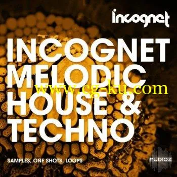 Incognet Melodic House & Techno WAV MiDi的图片1