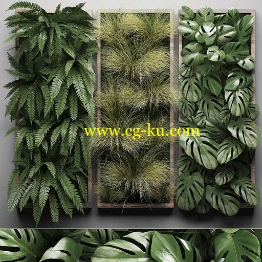 CGTrader – Vertical Garden 1 3D model的图片1