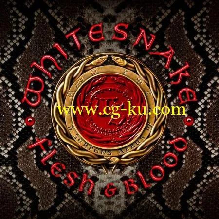 Whitesnake – Flesh & Blood (Deluxe Edition) – 2019 FLAC的图片1