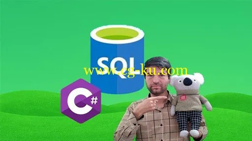 SQL Server in C# : Create Database Apps with C# and SQL的图片1