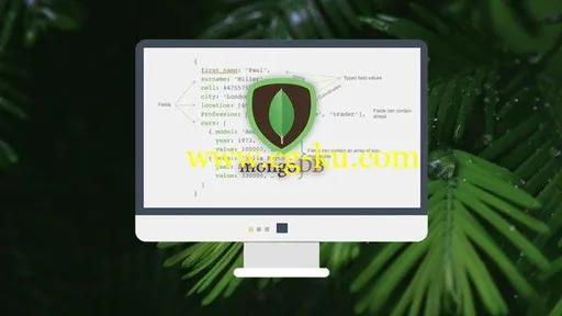 MongoDB – The Beginners Bootcamp的图片1