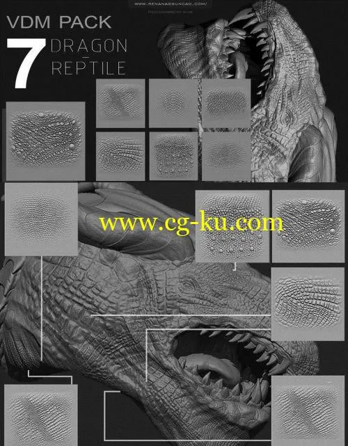 FlippedNormals – ZBRUSH – Reptile/Dragon VDM Pack的图片1