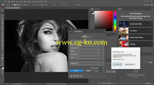 NBP Ultrasharp for Adobe Photoshop 1.0.003的图片2