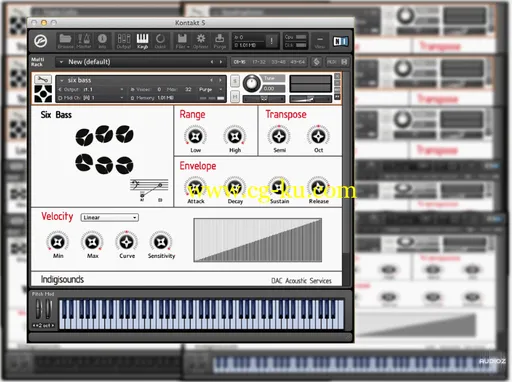 Indigisounds Steelpan Samples KONTAKT的图片1