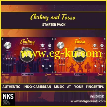 Indigisounds Chutney and Tassa Starter Pack KONTAKT的图片1