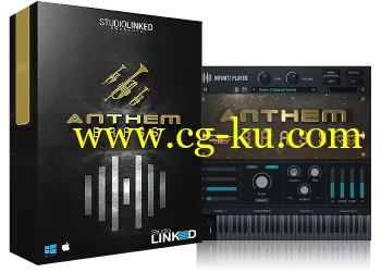 StudioLinked Infiniti Expansion Anthem Brass (WiN OSX)-DECiBEL的图片1