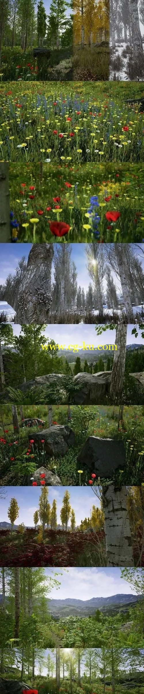 CGTrader – Scanned Poplar and Aspen Forest with Seasons for Unreal Engine 4 Low-poly 3D model的图片1