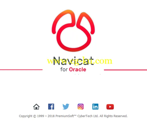 Navicat for Oracle 12.1.21 x86/x64的图片1