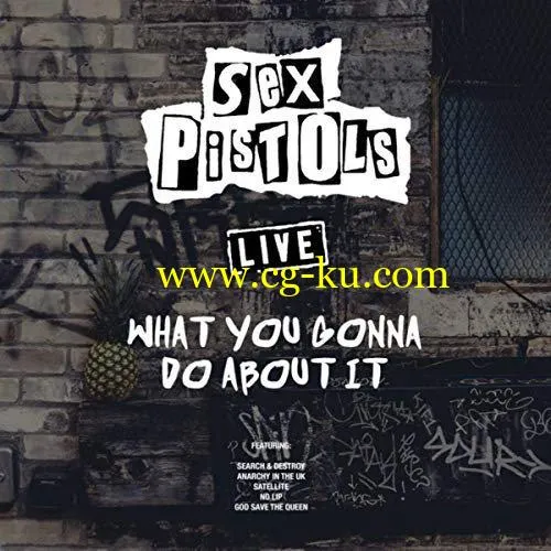Sex Pistols – What You Gonna Do About It (Live) (2019) FLAC的图片1