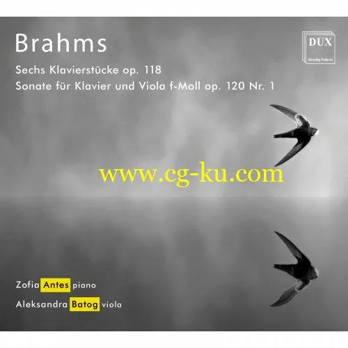 Zofia Antes Aleksandra Batog – Brahms: Chamber Works (2019) Flac的图片1