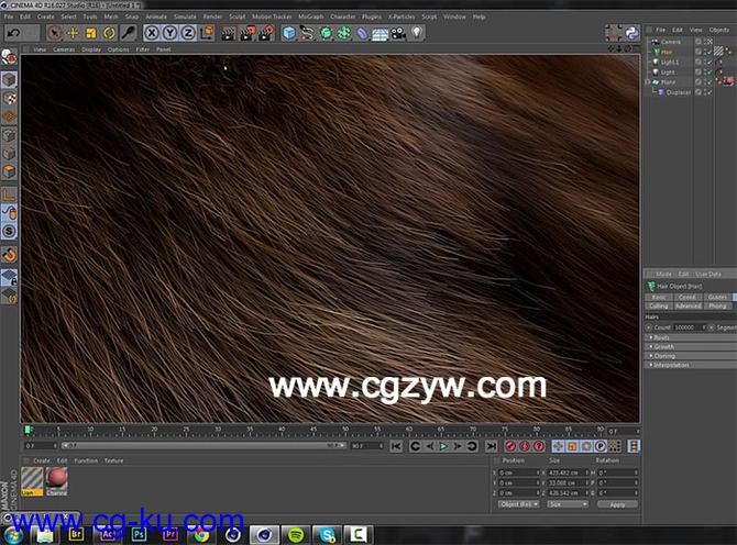 C4D动物毛发教程 Create Realistic Animal Fur的图片1