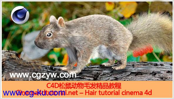 C4D制作松鼠毛发精品教程附工程文件 Hair tutorial cinema 4d的图片1