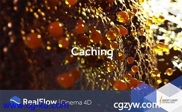 C4D插件-流体动力学模拟插件RealFlow C4D 2.0.1.0040 Win/Mac替换破解版支持C4D R18的图片1