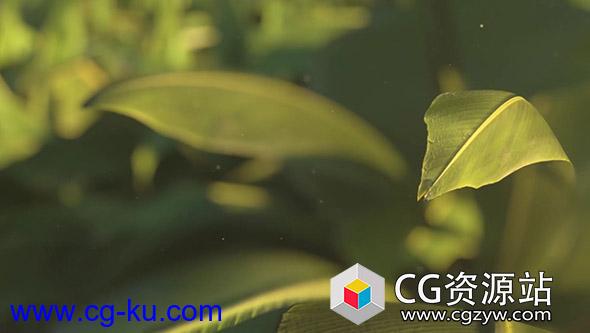 C4D Octane渲染器和AE创建植物树叶合成教程 Cinema 4D and Octane – Texturing and Rendering a Plant Scene Tutorial的图片1