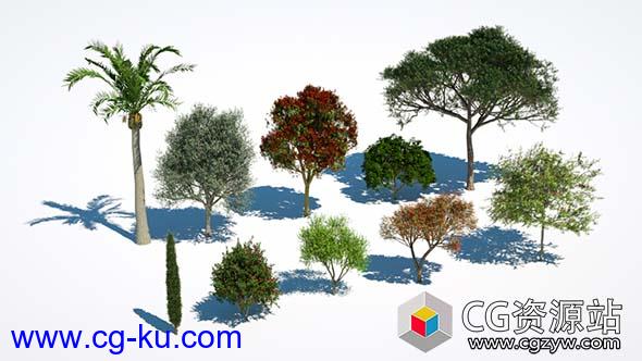 C4D Max精细树木植物模型包插件Laubwerk Plants Kit 4 v1.0.25 Win/Mac的图片2