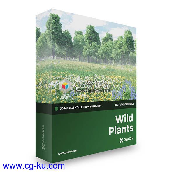 野生植物花朵3D模型 CGAxis – Wild Plants 3D Models Collection Volume 91(C4D/MAX/OBJ/FBX等格式)的图片1