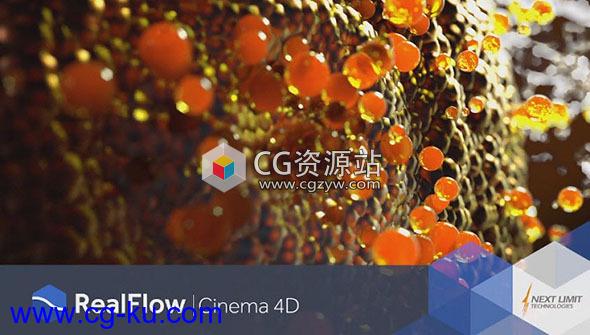 C4D流体动力学模拟插件NextLimit RealFlow C4D 2.6.4.0092 WIN 破解版R17-R20的图片1