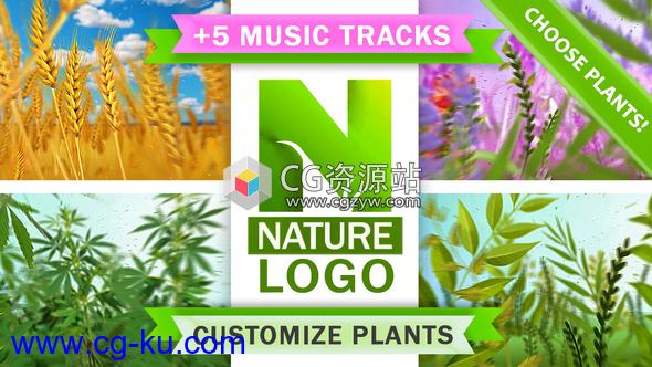 AE模板-自然生态植物标志Logo动画 Nature Eco Plants Logo的图片1