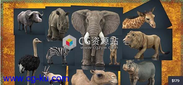 非洲野生动物3D模型 Cubebrush – Wild Africa Pack (MAX/FBX/MB/OBJ格式)的图片1