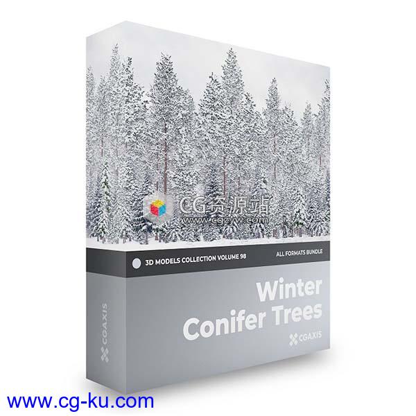 52棵冬季针叶树云杉松树3D模型合集  第98卷的图片1