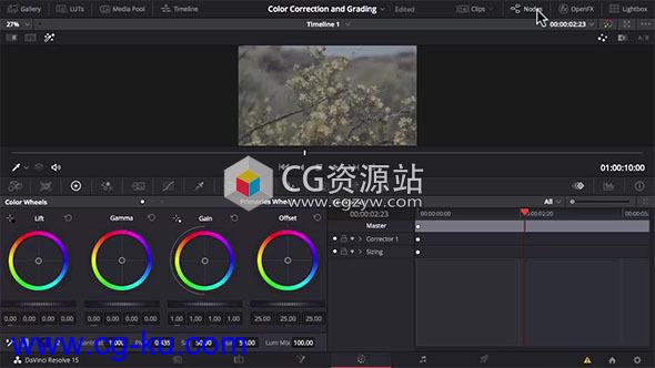 达芬奇15视频调色教程 SKillshare – Color Correction and Color Grading of videos with DaVinci Resolve 15的图片1