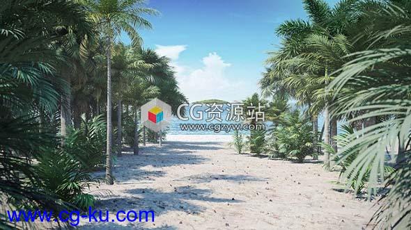 棕榈树植物3D模型集合CGAxis第110卷的图片1