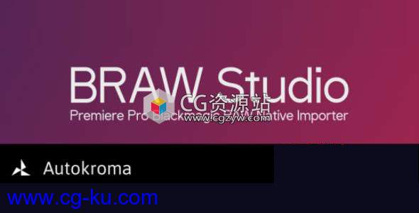 Blackmagic RAW素材导入PR插件 Aescripts BRAW Studio v1.1.0 for Premiere Pro Win破解版的图片1