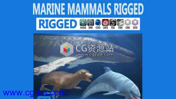 海豚海豹鲸鱼3D模型 CGTrader – Pack – Marine Mammals 3D model的图片1