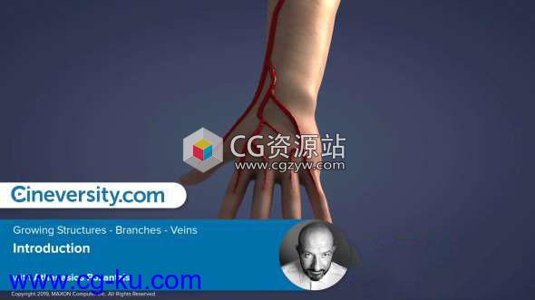 静脉分支生长动画C4D教程 Cineversity – Growing Structures – Branches and Veins In Cinema 4D的图片1