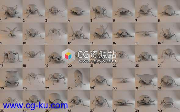 三维蜜蜂甲虫昆虫3D模型 CGTrader – Insects and Beetles Pack的图片1