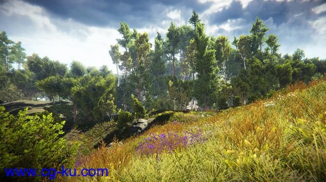 Unity真实自然环境场景包 Realistic Nature Environment v1.4的图片2