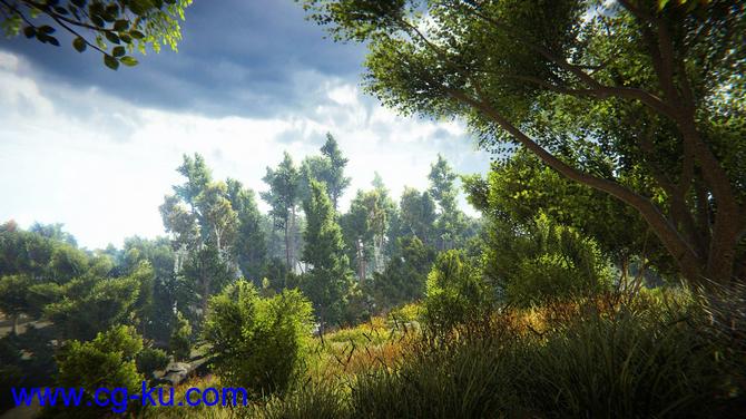 Unity真实自然环境场景包 Realistic Nature Environment v1.4的图片3