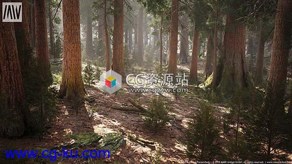 UE4红木岩石森林模型合集 Redwood Forest Collection的图片1