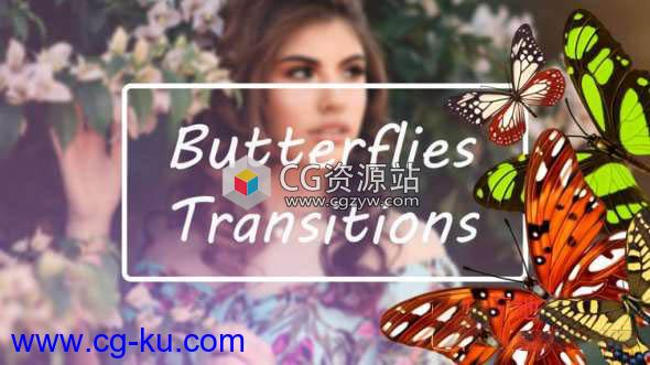 动态图形包4个飞舞蝴蝶视频转场 Butterflies Transitions的图片1