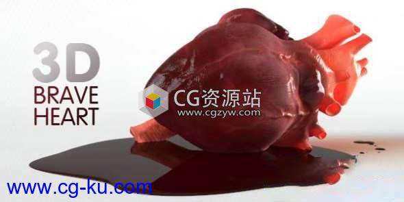 人体心脏3D模型 3DOcean – Brave Heart – 3D model of human heart的图片1