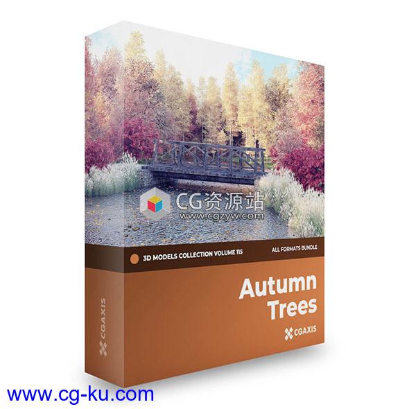 48棵秋季树木桤木银桦树田野枫树3D模型系列CGAxis第115卷的图片1