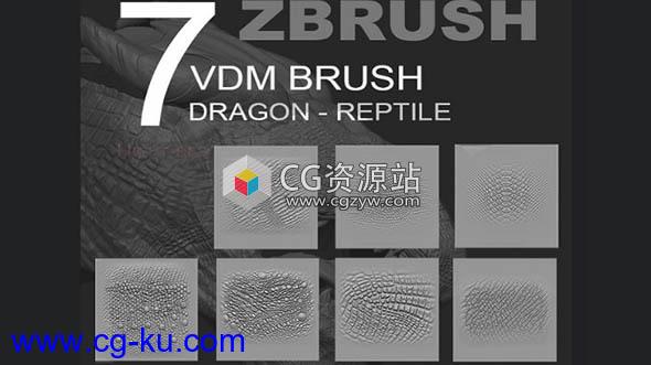 爬行类动物皮肤笔刷ZBRUSH预设 Reptile/Dragon VDM Pack的图片1