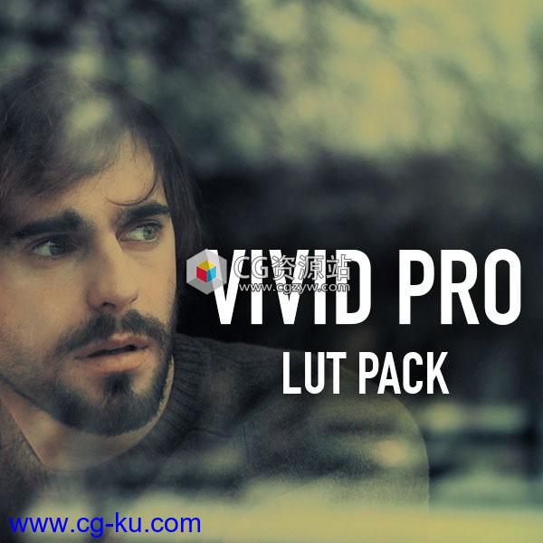 205个电影风格LUTs视频调色预设VIVID LUTs Pro+使用教程的图片1