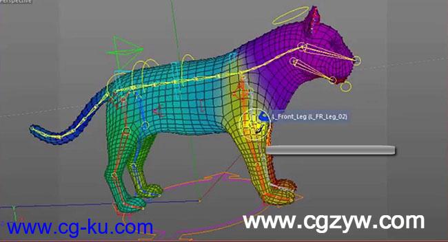 C4D动物建模贴图绑定全面教程 (含工程文件） Cinema 4D Quadruped Model UV Texturing Rigging的图片1